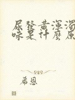 尿发黄浑浊有异味是什么原因造成的