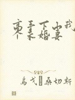 高手下山我有九个未婚妻