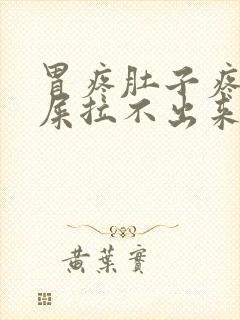 胃疼肚子疼想拉屎拉不出来怎么回事