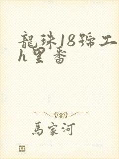 龙珠18号工口h里番