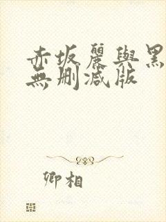 赤坂丽与黑人的无删减版