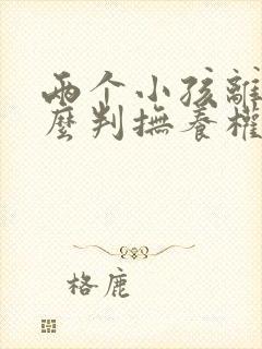 两个小孩离婚怎么判抚养权