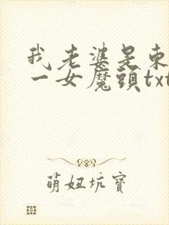 我老婆是东晋第一女魔头txt