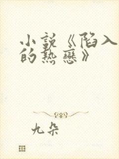 小说《陷入我们的热恋》