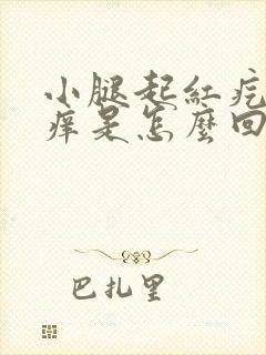 小腿起红疙瘩还痒是怎么回事