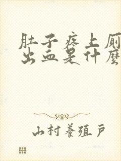 肚子疼上厕所拉出血是什么情况