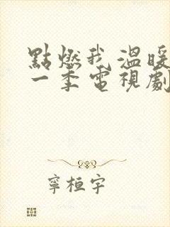 点燃我温暖你第一季电视剧免费观看