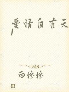 爱情自有天意31