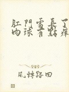 肛门处长了一个肉球有点痒