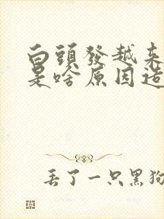 白头发越来越多是啥原因造成的