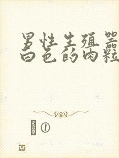 男性生殖器根部白色的肉粒