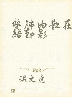 双肺内散在微小结节影