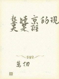 龚晓京的现任丈夫是谁封面