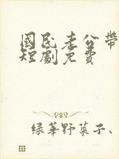 国民老公带回家短剧免费封面