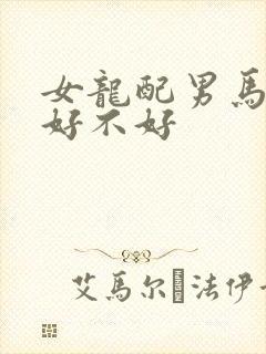 女龙配男马婚配好不好