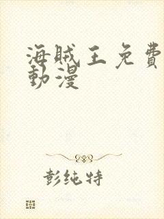 海贼王免费风之动漫