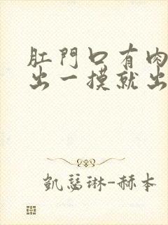 肛门口有肉球突出一摸就出血