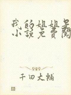 我的姐姐是将军小说免费阅读封面