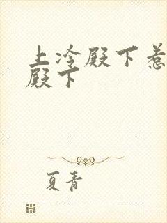 上冷殿下惹上冷殿下