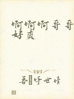 啊啊啊哥哥不要好爽封面