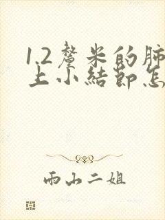 1.2厘米的肺上小结节怎么办