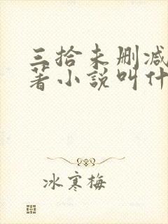 三拾未删减版原著小说叫什么