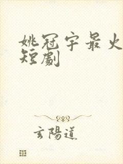 姚冠宇最火十部短剧