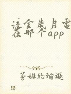 流金岁月电视剧在哪个app