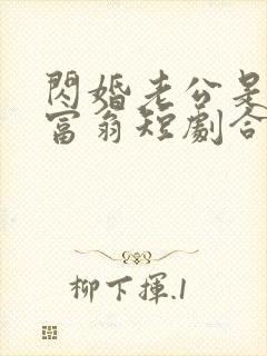 闪婚老公是亿万富翁短剧合集