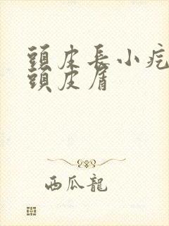 头皮长小疙瘩出头皮屑