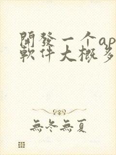 开发一个app软件大概多少钱