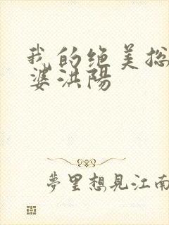 我的绝美总裁老婆洪阳