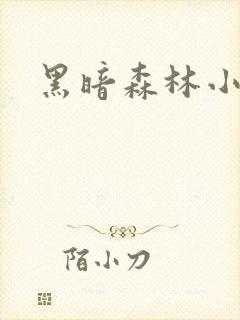 黑暗森林小说封面