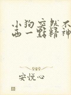 小狗突然不吃东西一点精神都没有