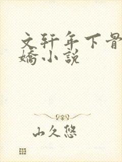 文轩年下骨科病娇小说