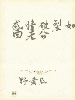 感情破裂如何挽回老公