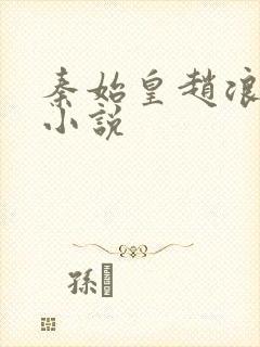 秦始皇赵浪穿越小说封面