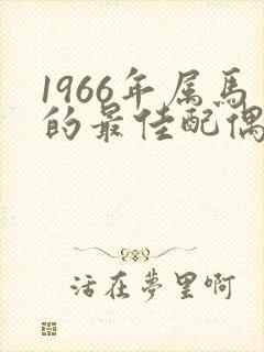 1966年属马的最佳配偶属相