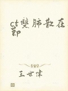 ct双肺散在结节封面