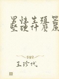 男性生殖器总不坚硬什么原因