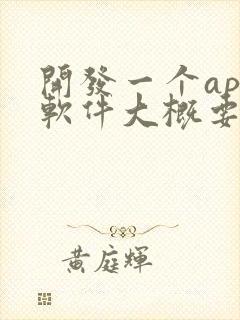 开发一个app软件大概要多少钱