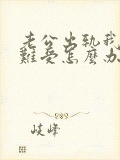 老公出轨我心里难受怎么办封面