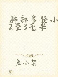 肺部多发小结节2至3毫米