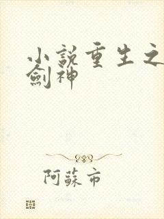 小说重生之最强剑神