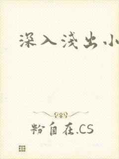 深入浅出小说