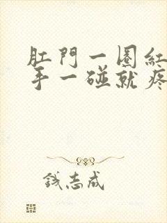 肛门一圈红肿用手一碰就疼怎么治疗