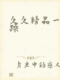 久久精品一日日躁