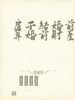 房子结婚前买的算婚前财产吗