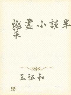 燃尽小说半截白菜