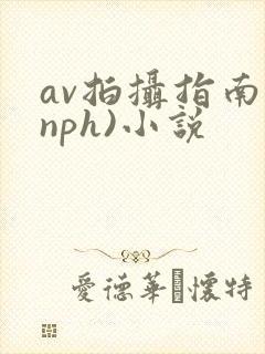 av拍摄指南(nph)小说